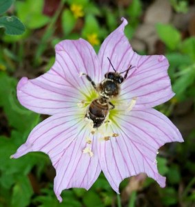 FB_IMG_1434428054971_resized