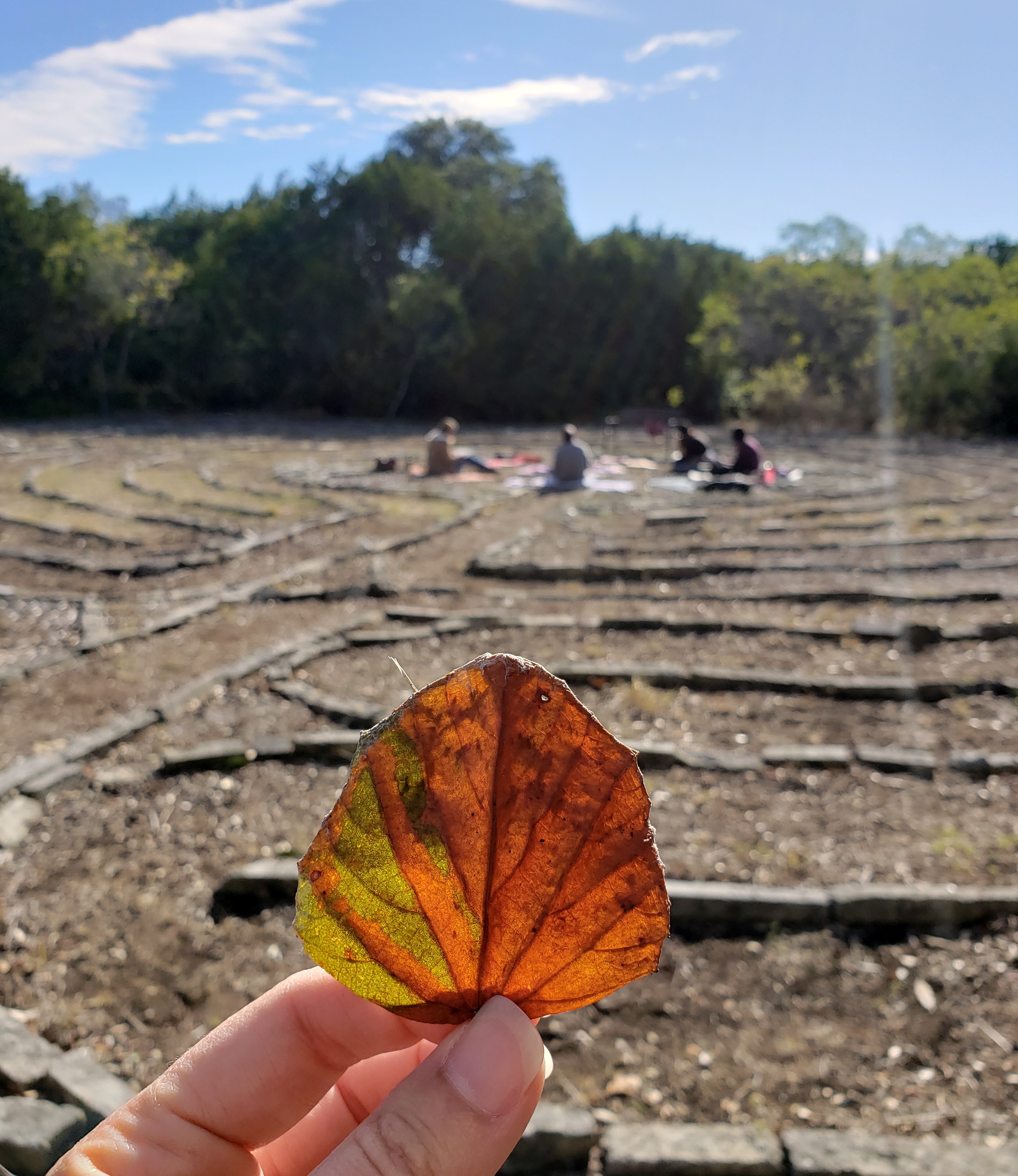 IMG_20191102_135853_707